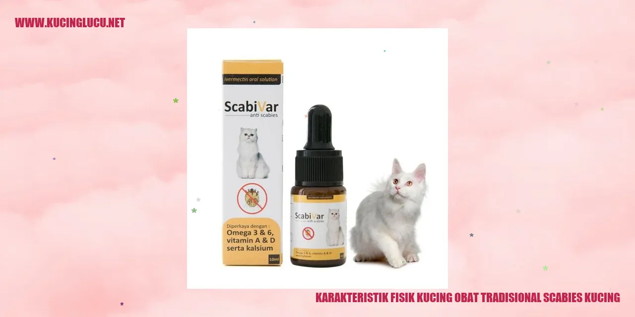 Karakteristik Fisik Kucing