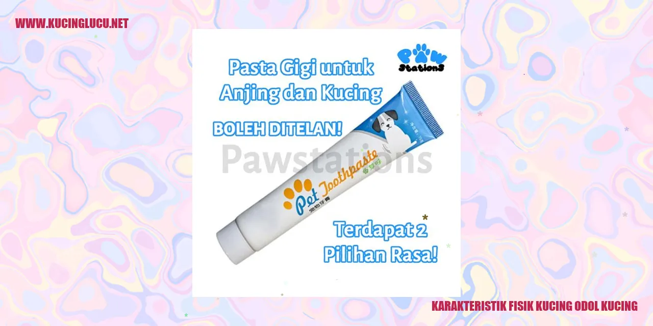 Karakteristik Fisik Kucing Odol Kucing