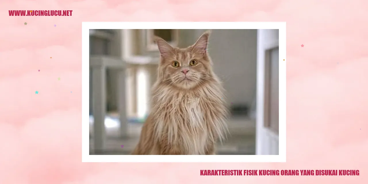 Kecantikan Fisik Kucing yang Menarik Hati Pecinta Kucing