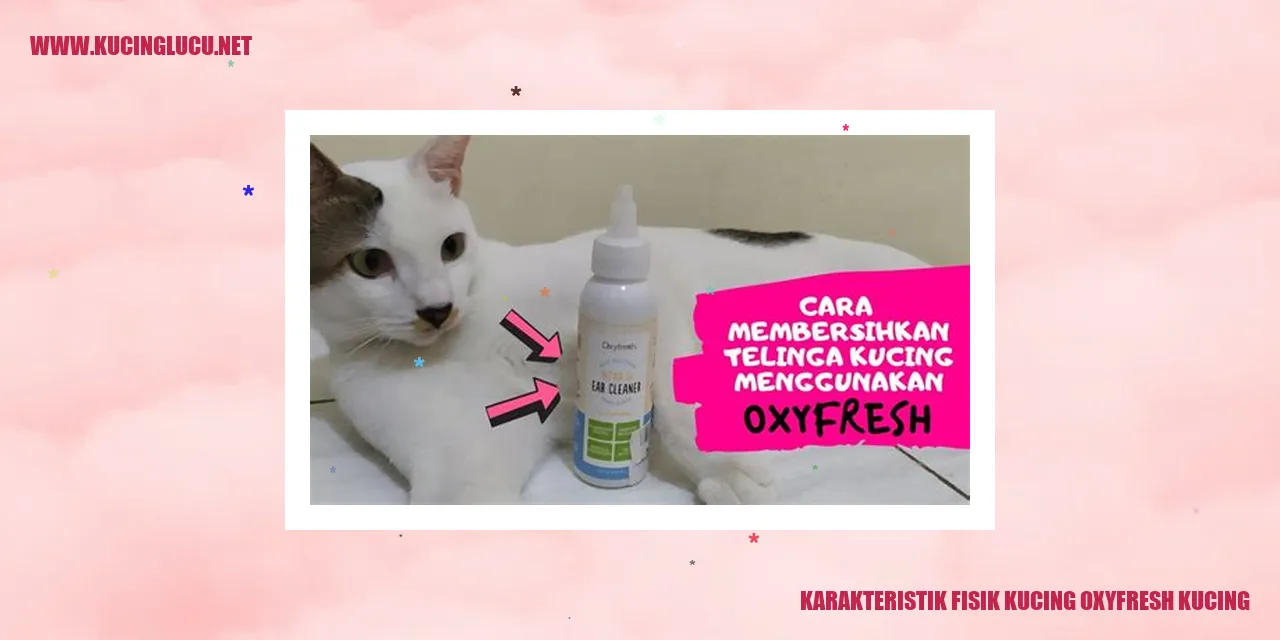 Karakteristik Fisik Kucing Oxyfresh Kucing