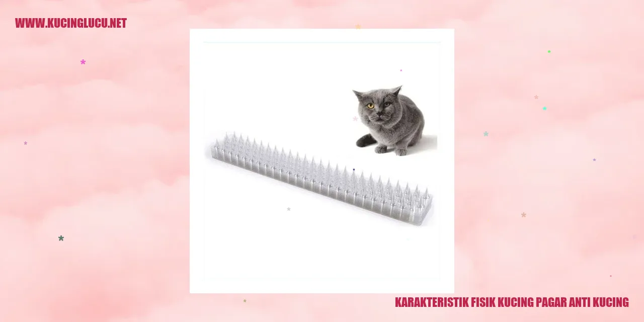 Gambar kucing penjaga anti kucing