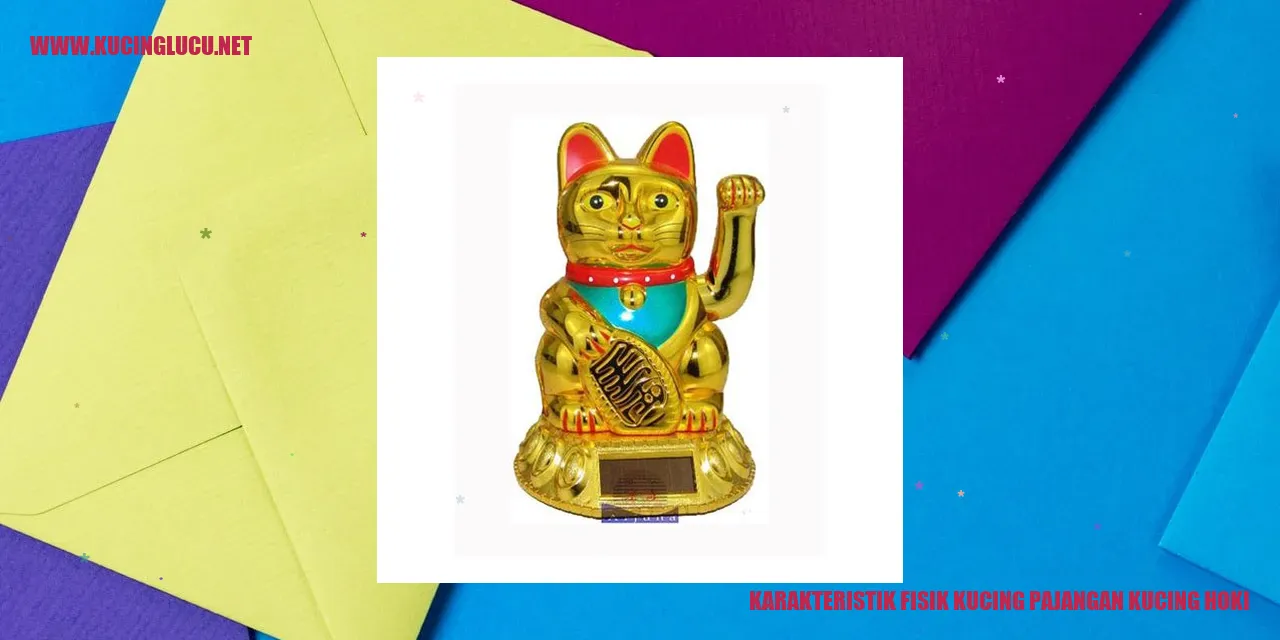 Karakteristik Fisik Kucing Pajangan Kucing Hoki