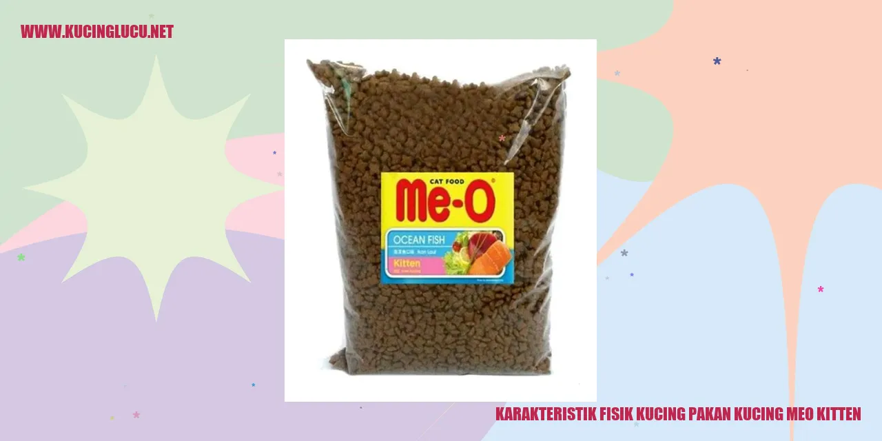 Foto Kucing Meo Kitten