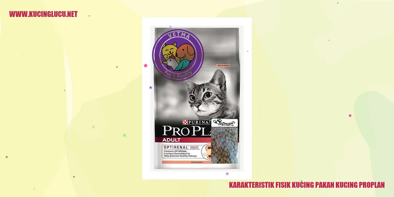 Gambar Kucing