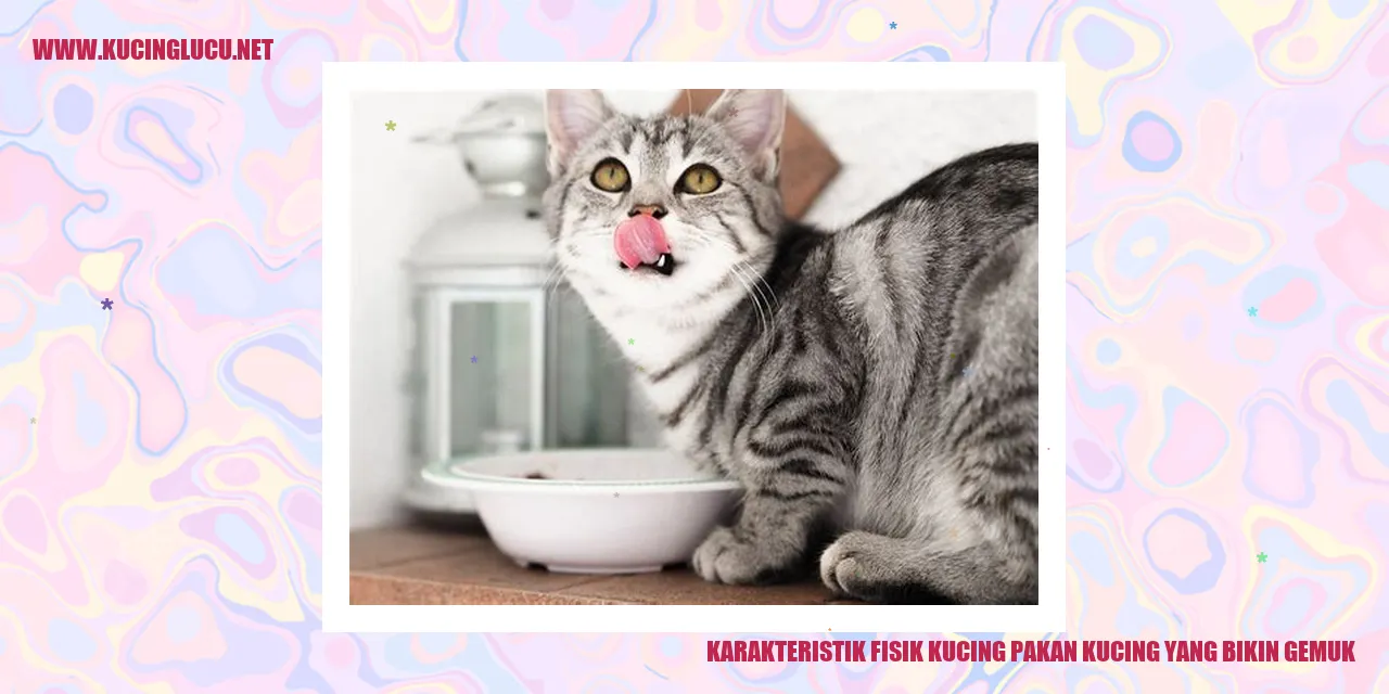 Karakteristik Fisik Kucing pakan kucing yang bikin gemuk