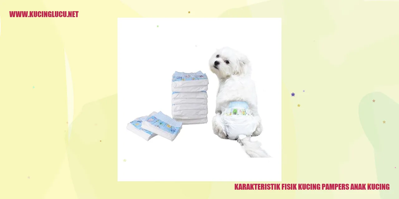 Karakteristik Fisik Kucing pampers anak kucing