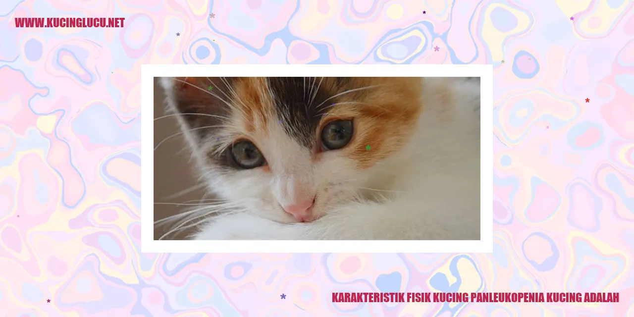 Kucing Panleukopenia