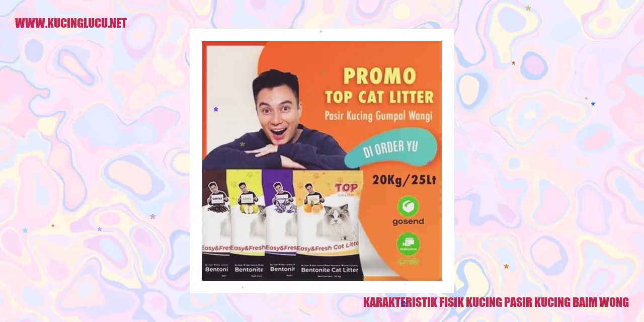 Karakteristik Fisik Kucing Pasir Kucing Baim Wong