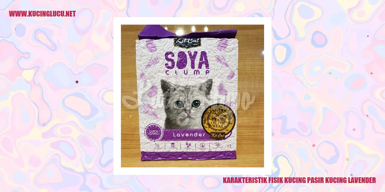 Karakteristik Fisik Kucing pasir kucing lavender