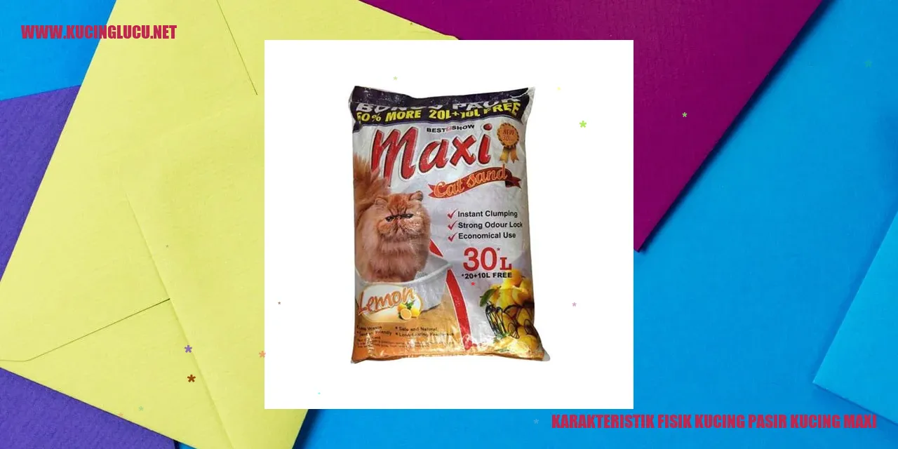Karakteristik Fisik Kucing Pasir Kucing Maxi
