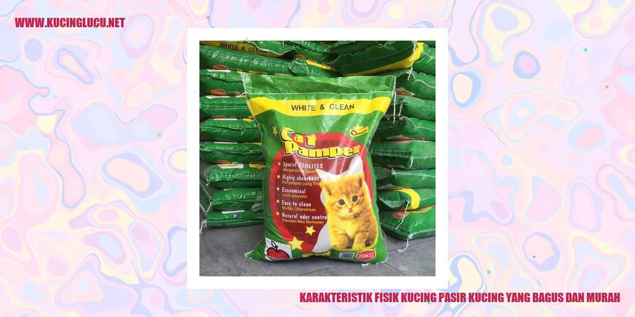 Kucing Pasir yang Menarik