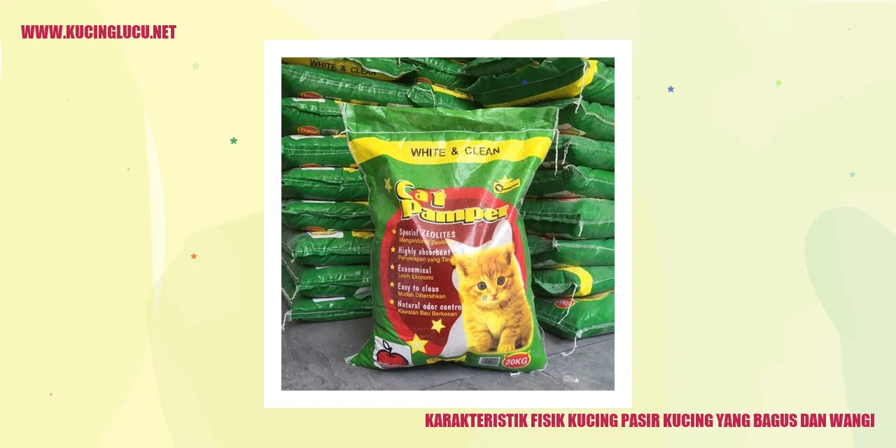 Karakteristik Fisik Kucing Pasir Kucing yang Bagus dan Wangi