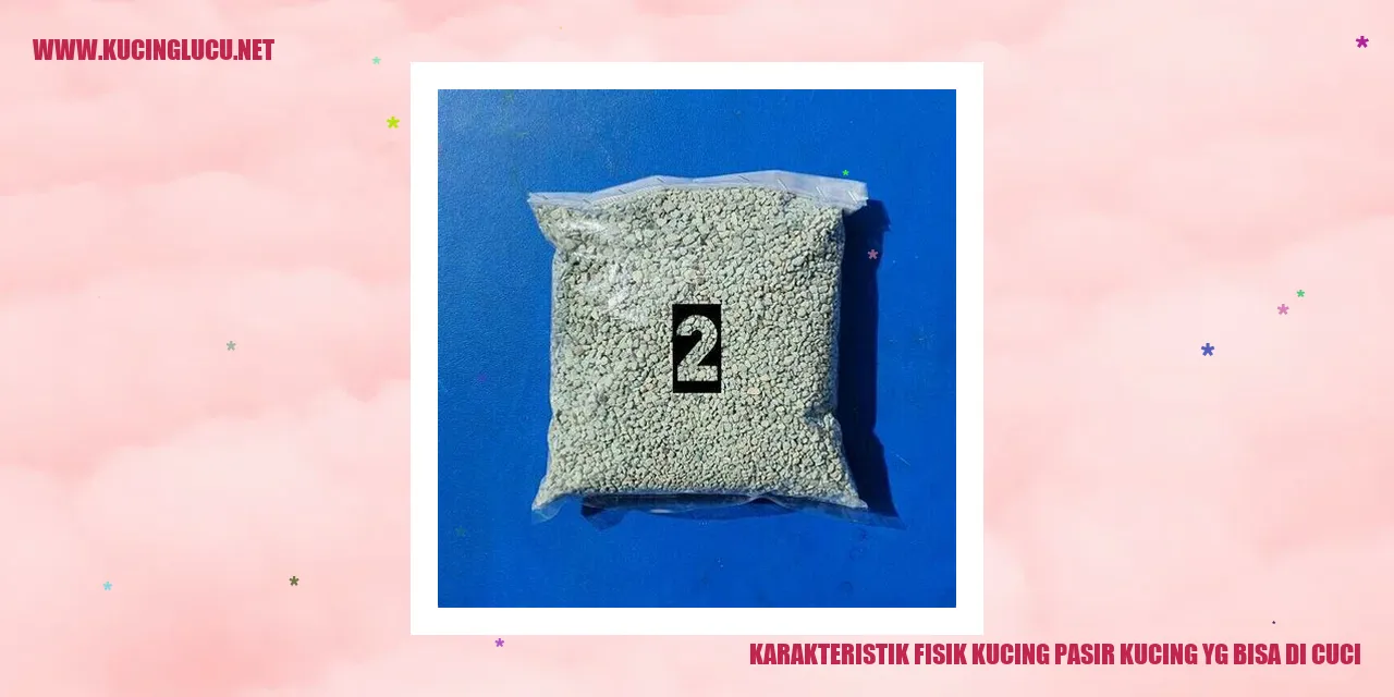 Karakteristik Fisik Kucing pasir kucing
