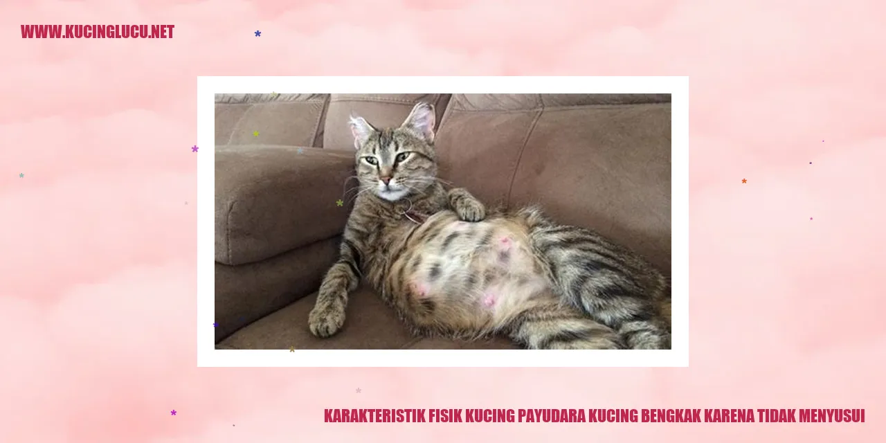 Kucing dengan Payudara Membengkak