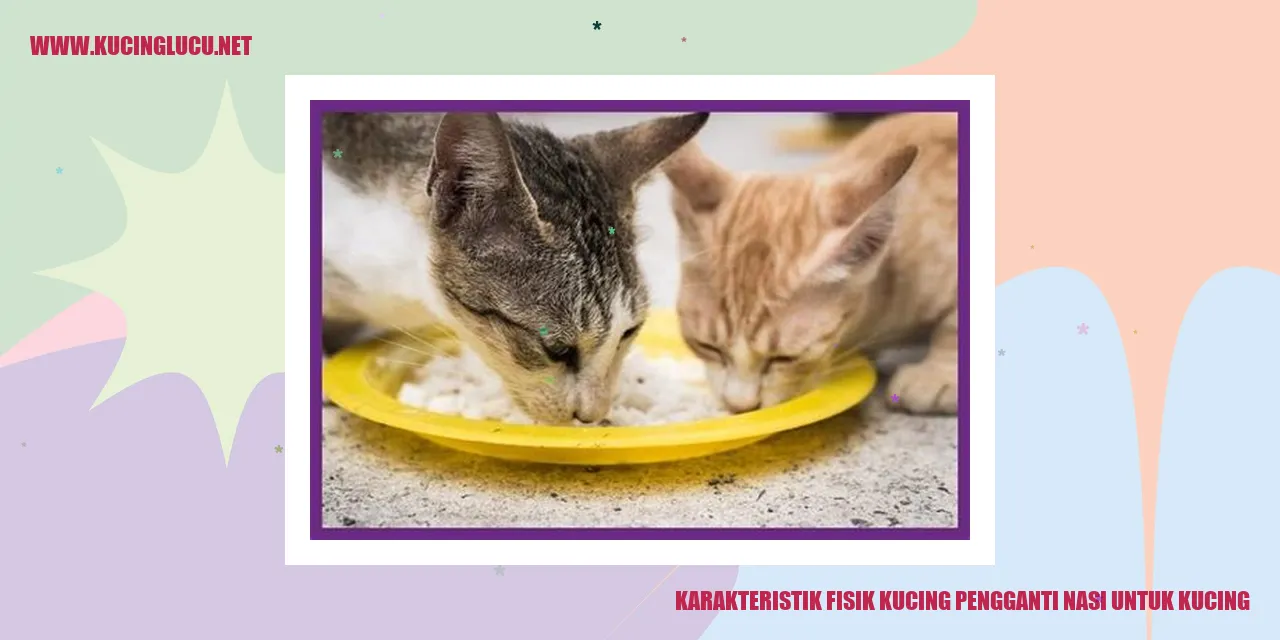 Gambar kucing sehat