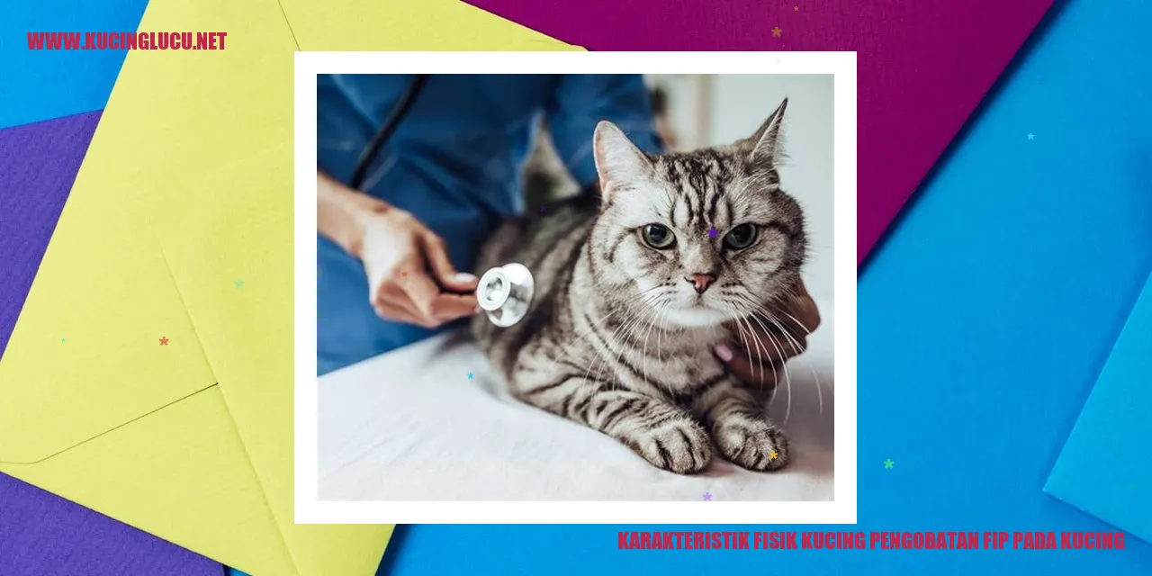 Karakteristik Fisik Kucing pengobatan fip pada kucing