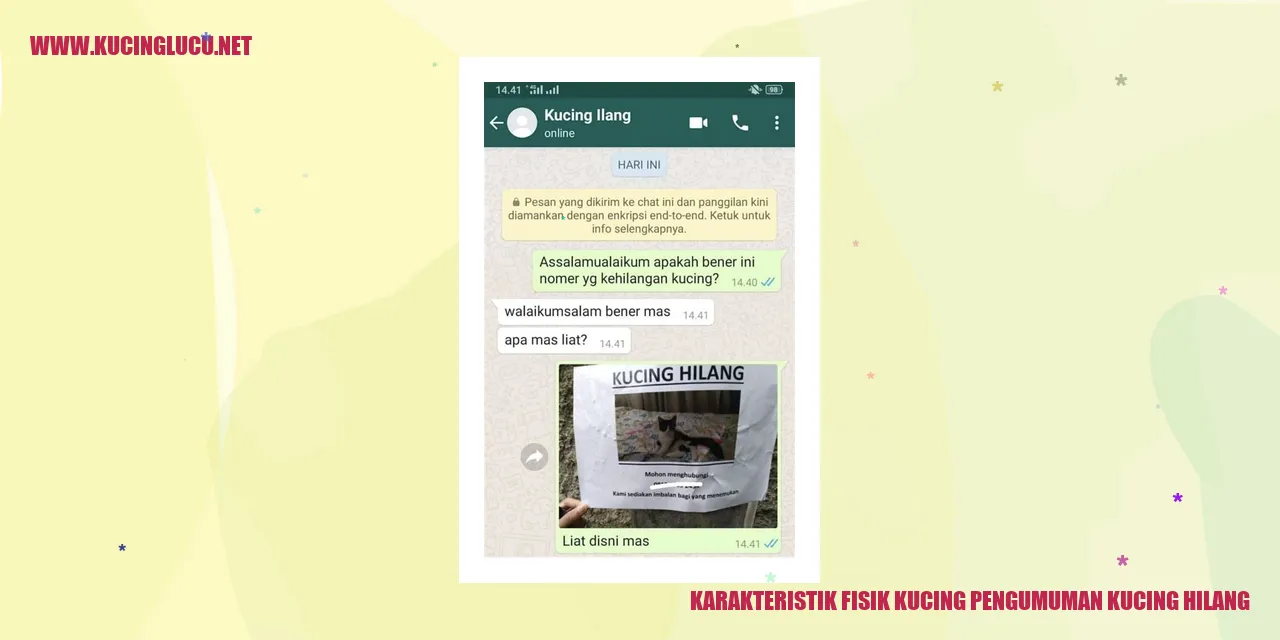 Kucing Hilang