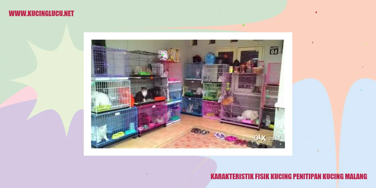 Karakteristik Fisik Kucing Penitipan Kucing Malang