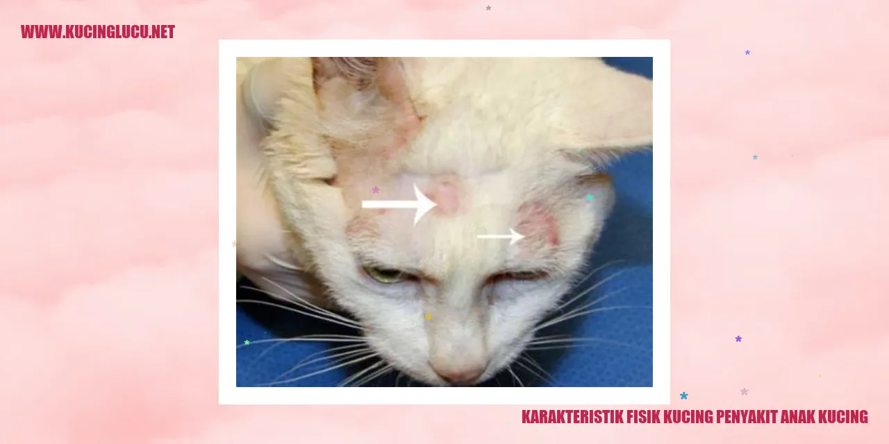 Karakteristik Fisik Kucing Penyakit Anak Kucing