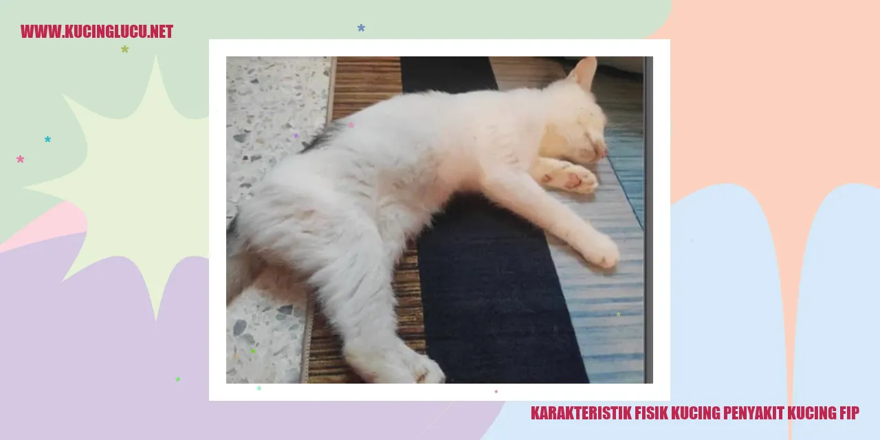 Gambar Kucing dengan Penyakit FIP