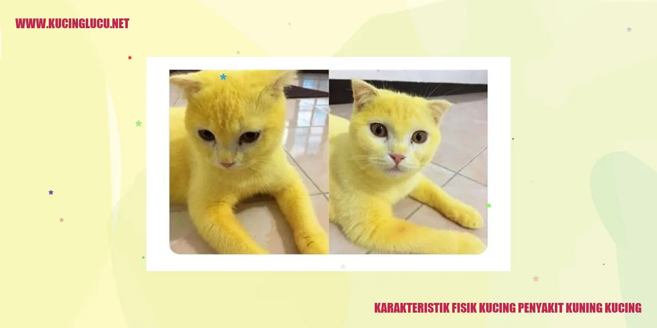 Karakteristik Fisik Kucing Penyakit Kuning Kucing