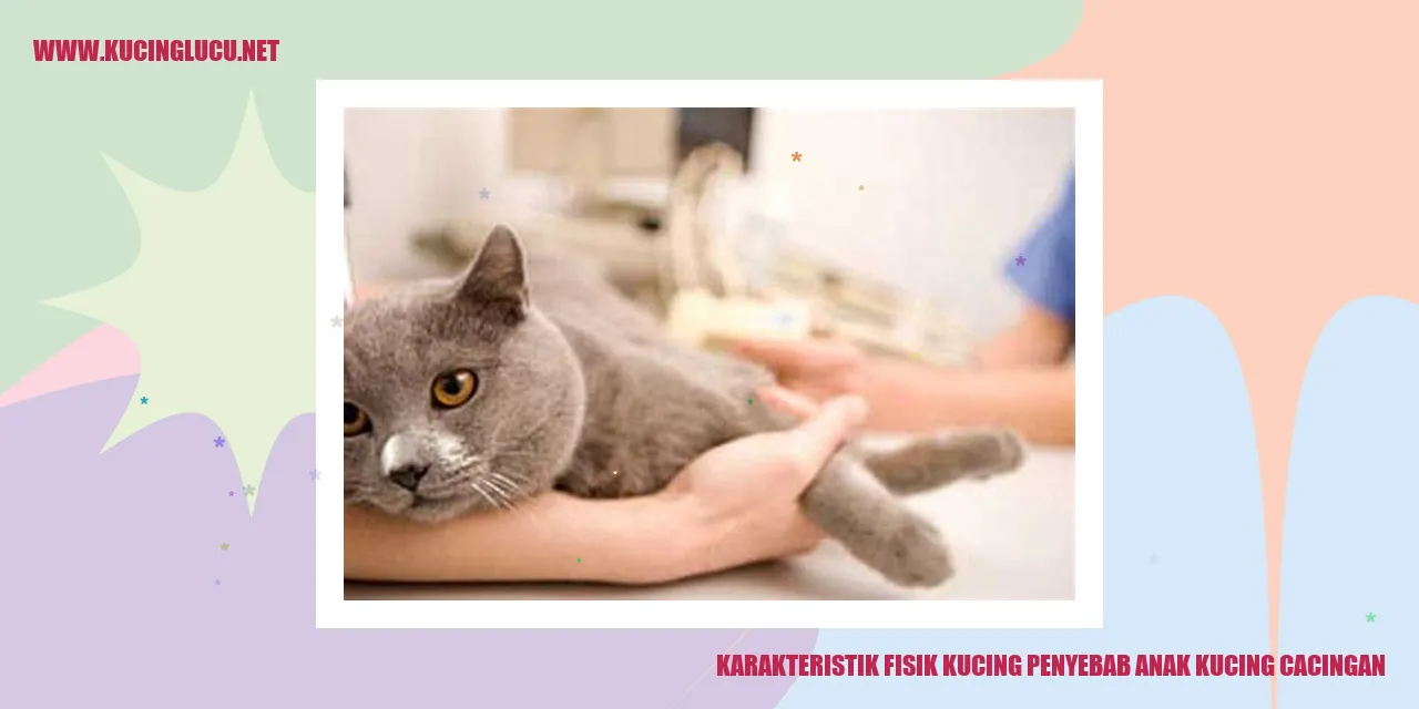 Karakteristik Fisik Kucing penyebab anak kucing cacingan