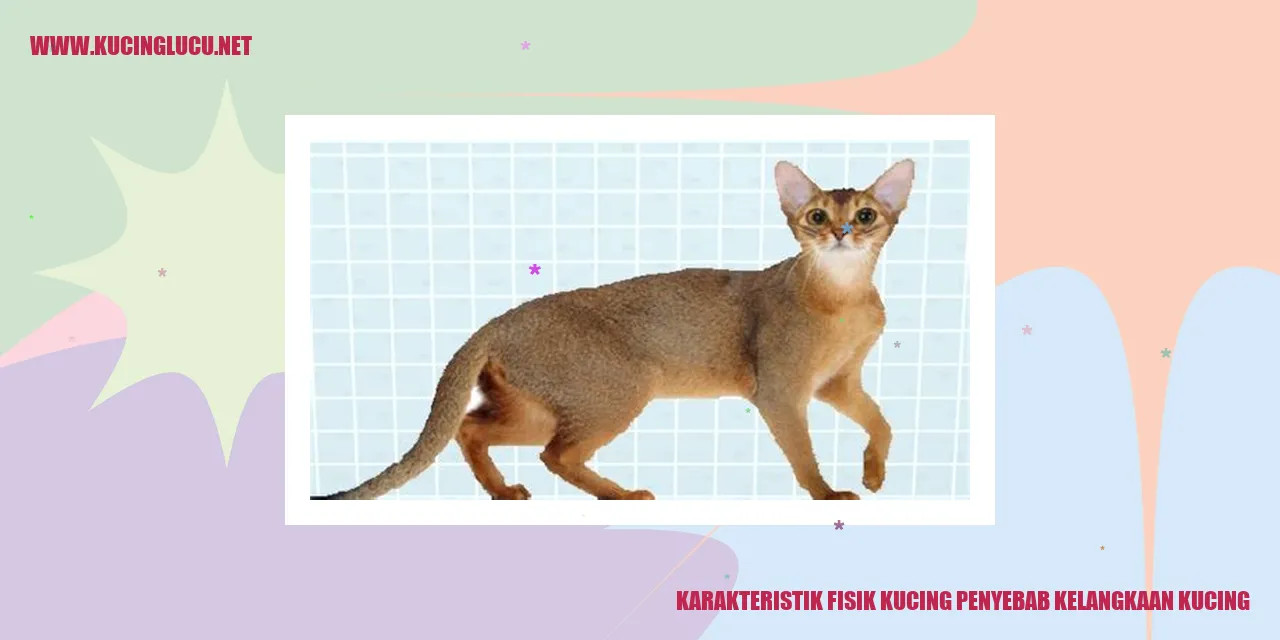 Karakteristik Fisik Kucing Penyebab Kelangkaan Kucing