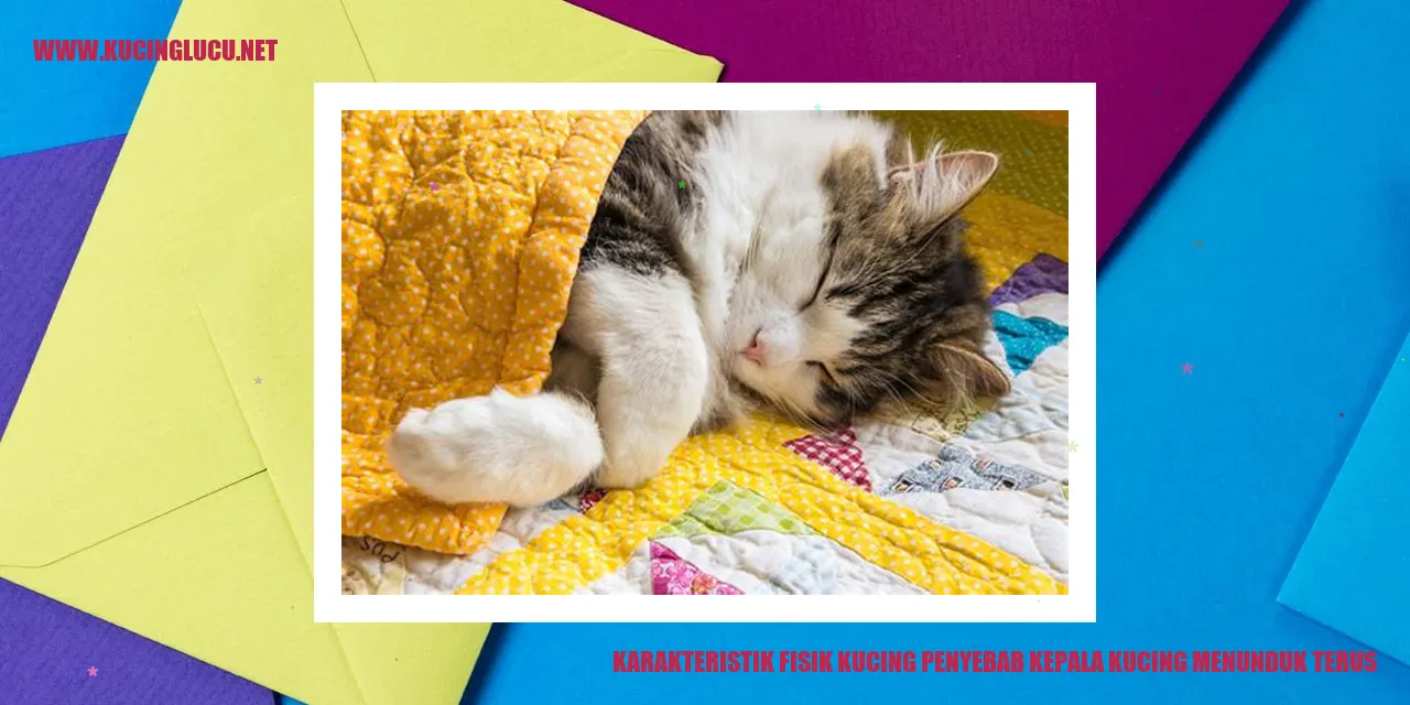 Karakteristik Fisik Kucing menyebabkan kepala kucing menunduk terus