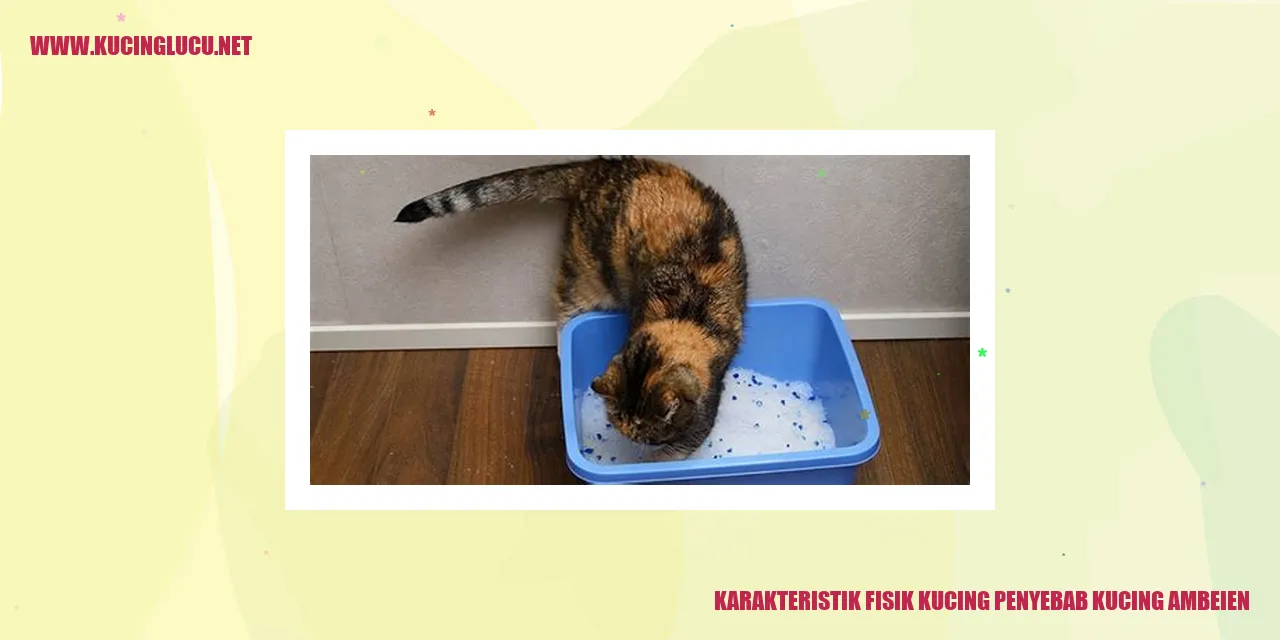 karakteristik fisik kucing