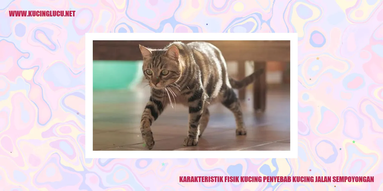 Gambar Kucing Jalan Sempoyongan