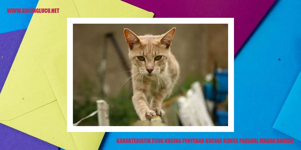 Karakteristik Fisik Kucing