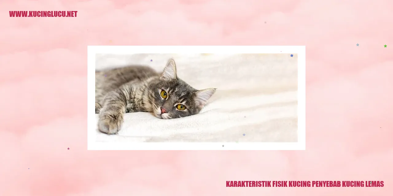 Gambar Kucing Yang Penyebab Kucing Lemas