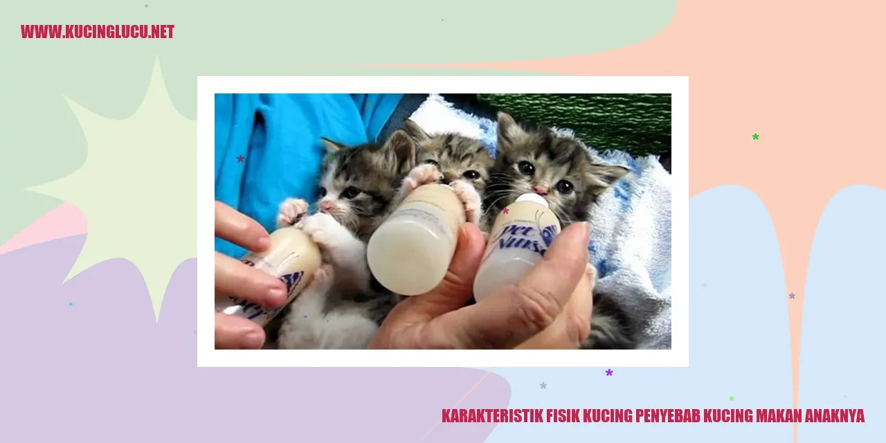 Kucing dan anaknya