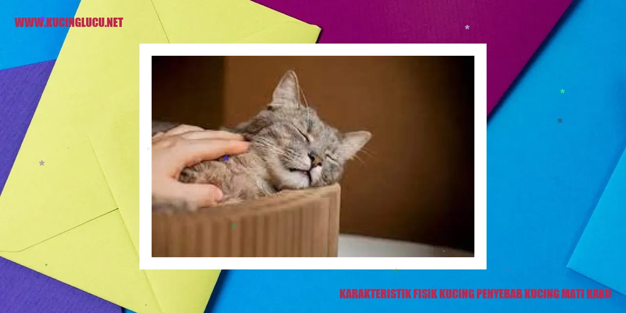 Karakteristik Fisik Kucing penyebab kucing mati kaku