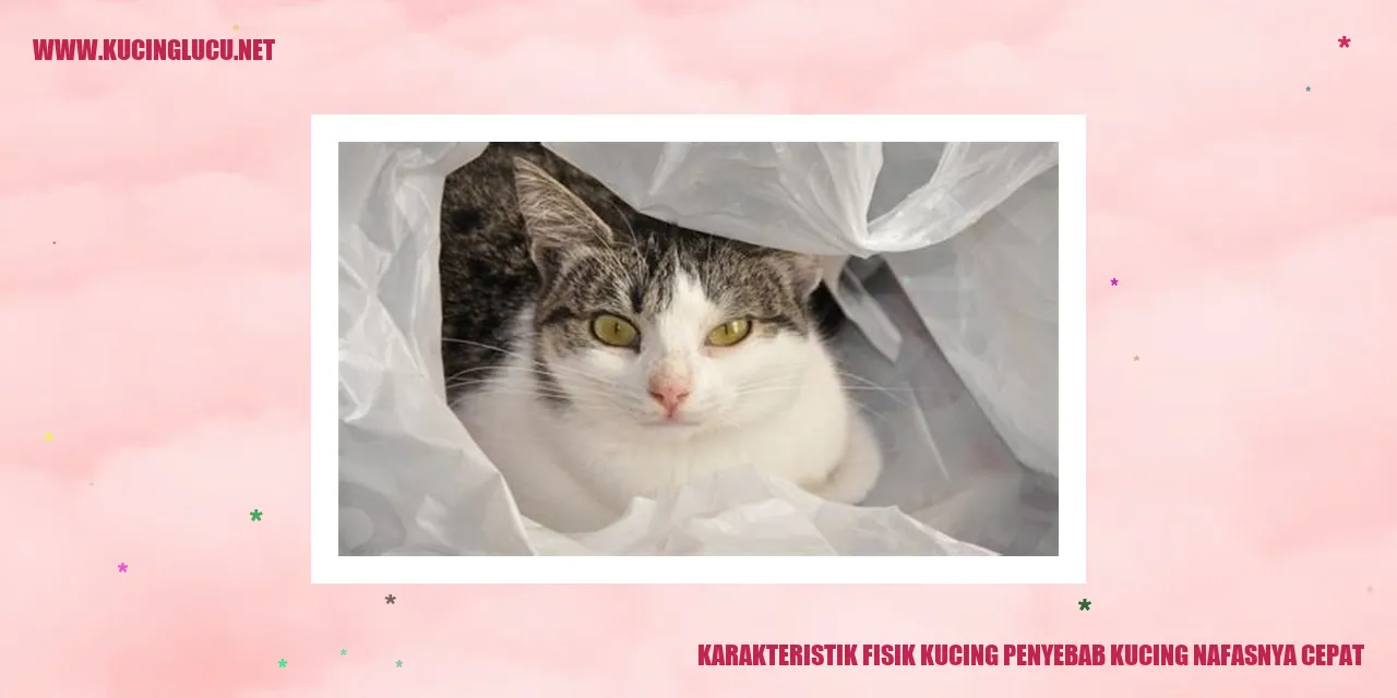 Karakteristik Fisik Kucing