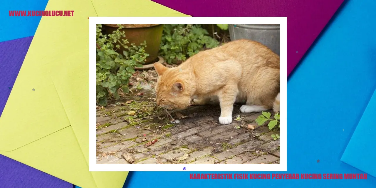 Karakteristik Fisik Kucing penyebab kucing sering muntah
