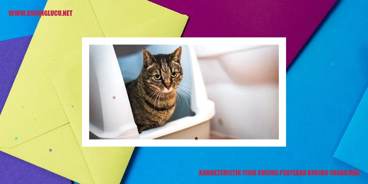 karakteristik fisik kucing