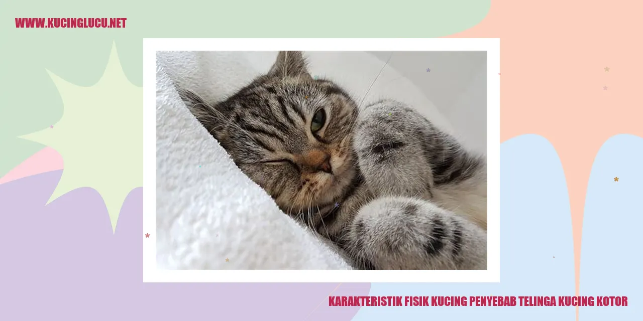 Karakteristik Fisik Kucing