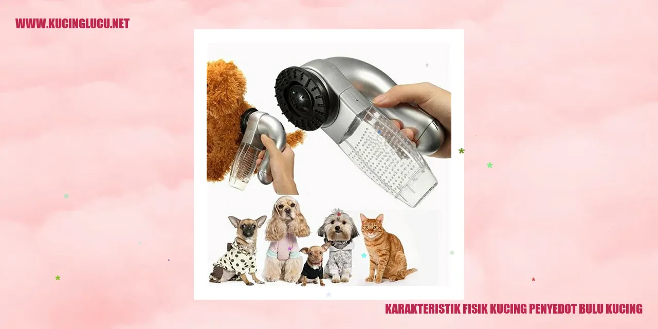 Gambar Kucing Penyedot Bulu Kucing