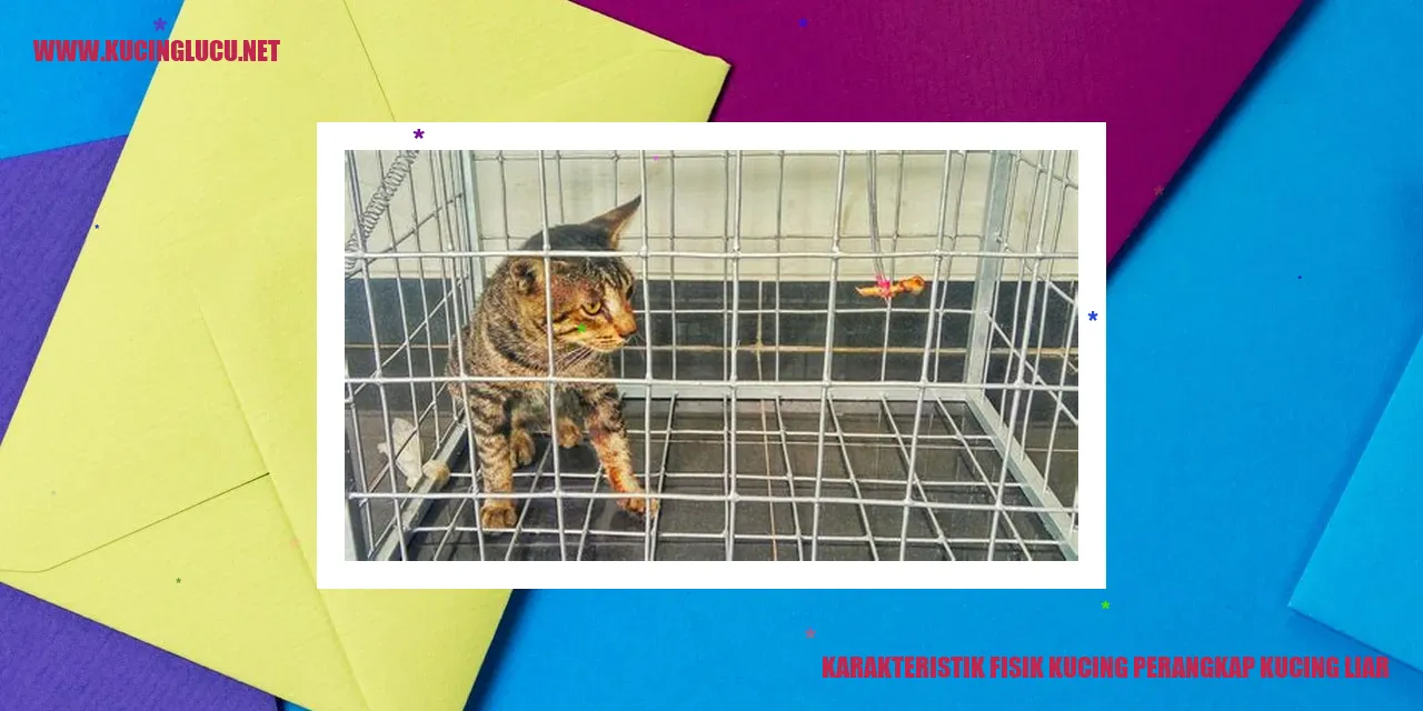 gambar kucing perangkap