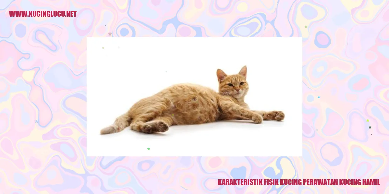 Karakteristik Fisik Kucing perawatan kucing hamil