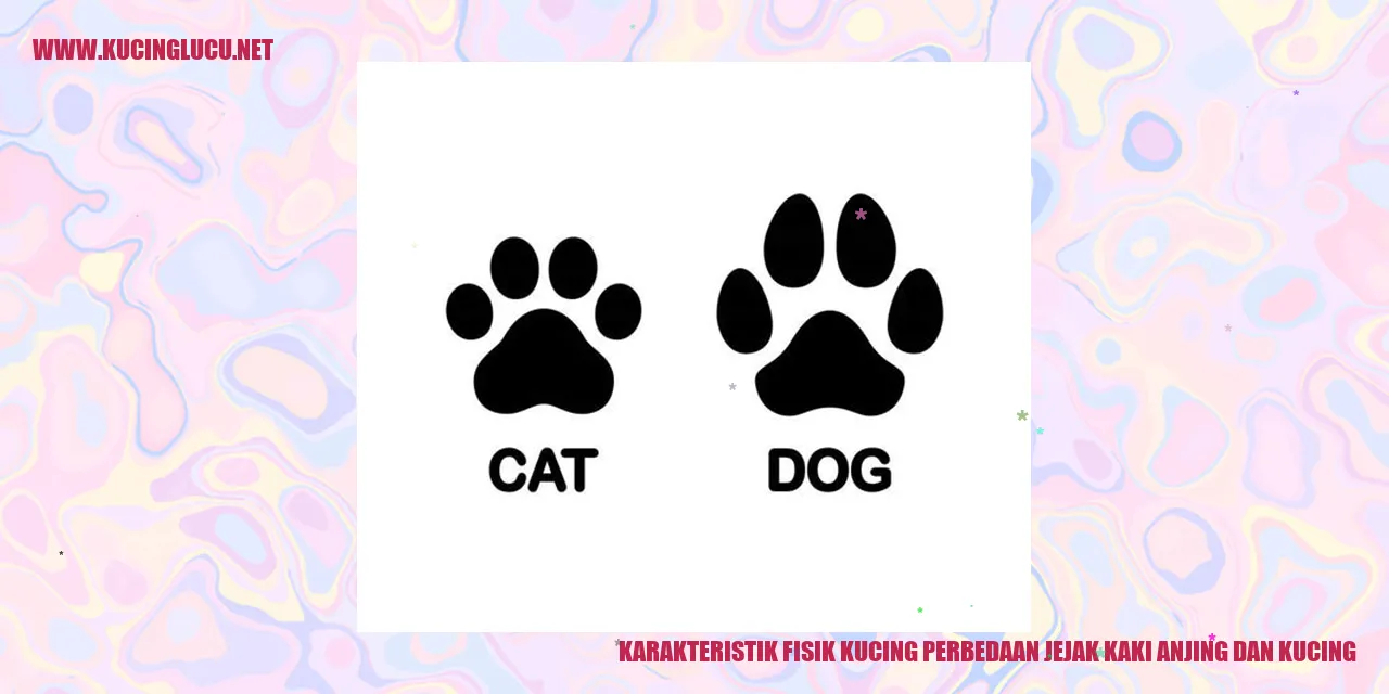 Gambar kucing dan anjing