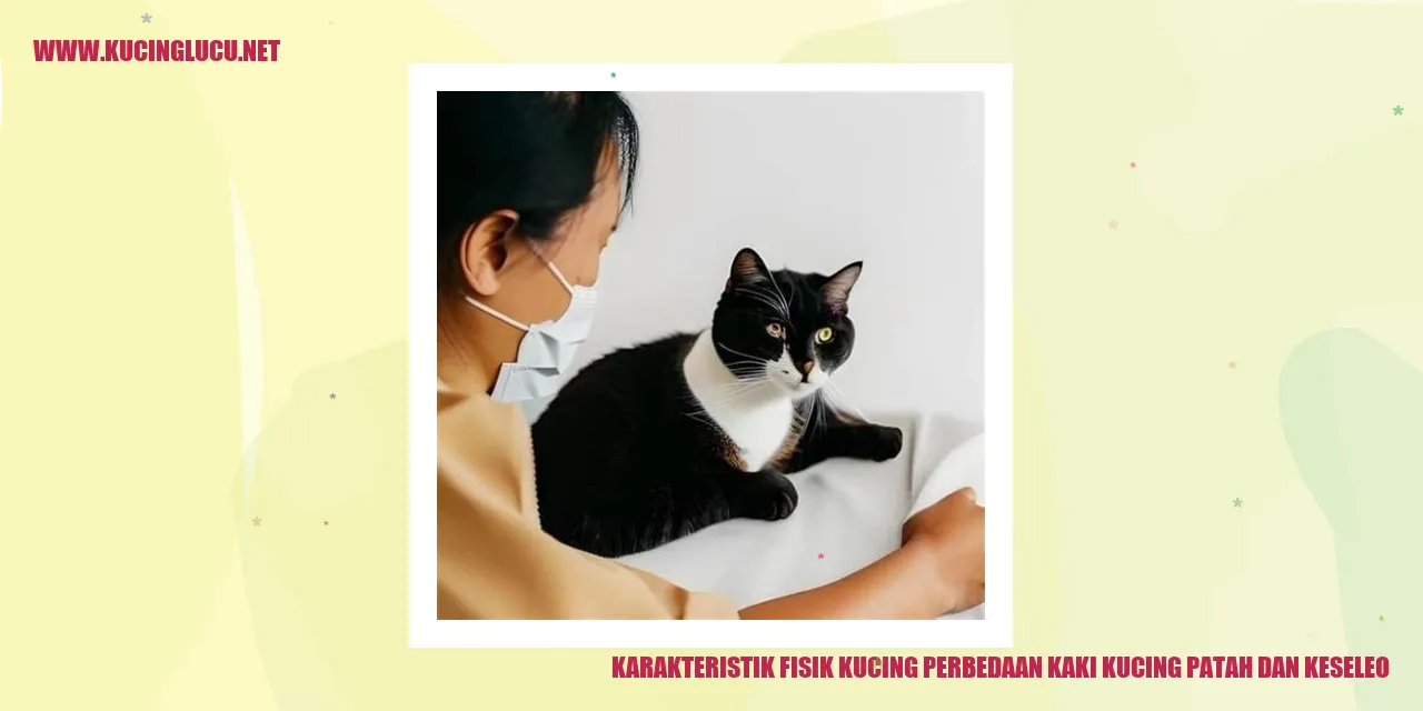 Kucing Patah dan Keseleo