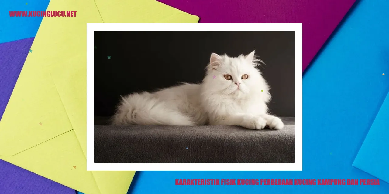 Gambar Kucing Terlihat Menggemaskan
