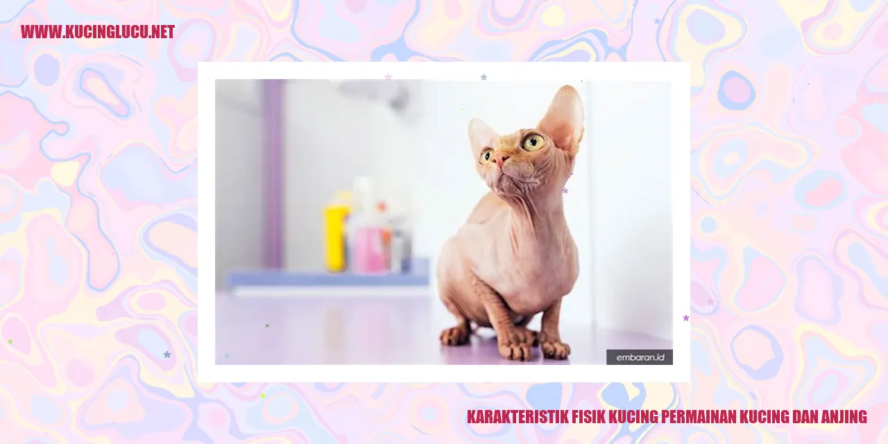 Karakteristik Fisik Kucing