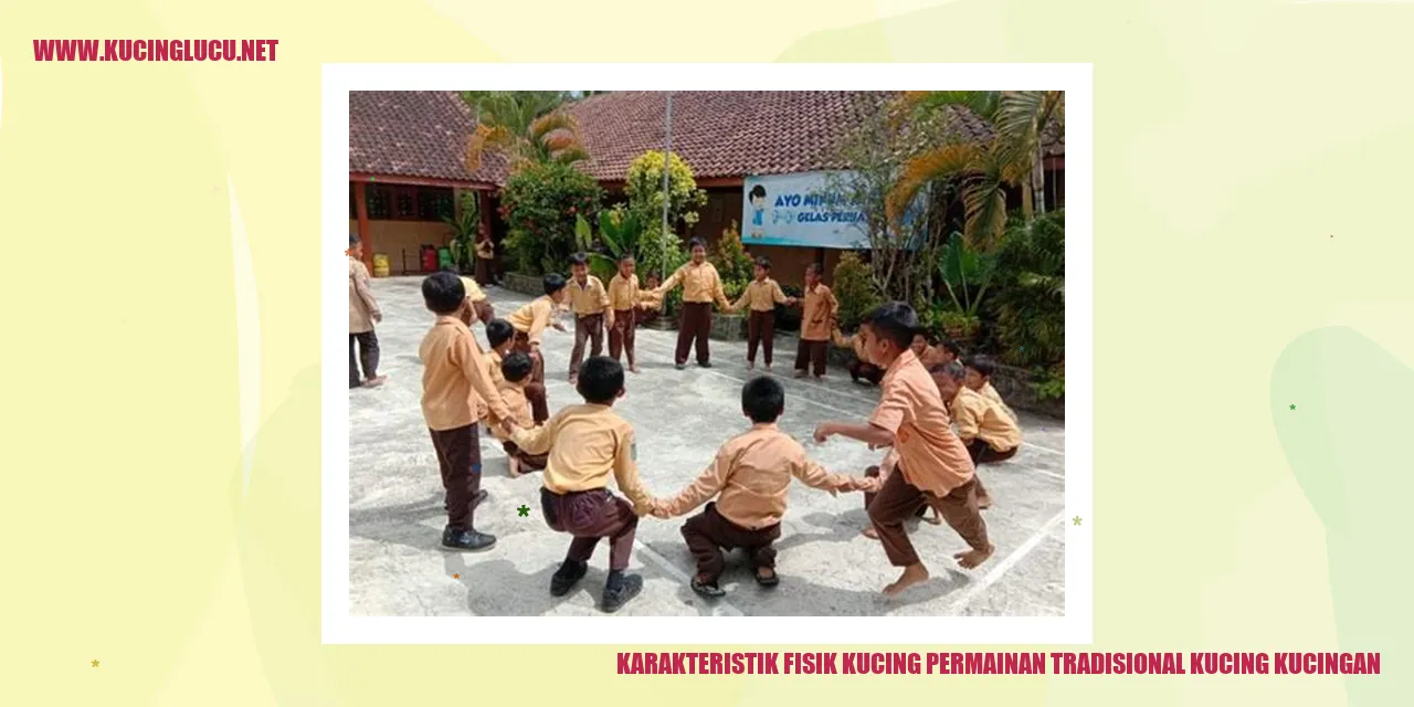 Karakteristik Fisik Kucing permainan tradisional kucing kucingan