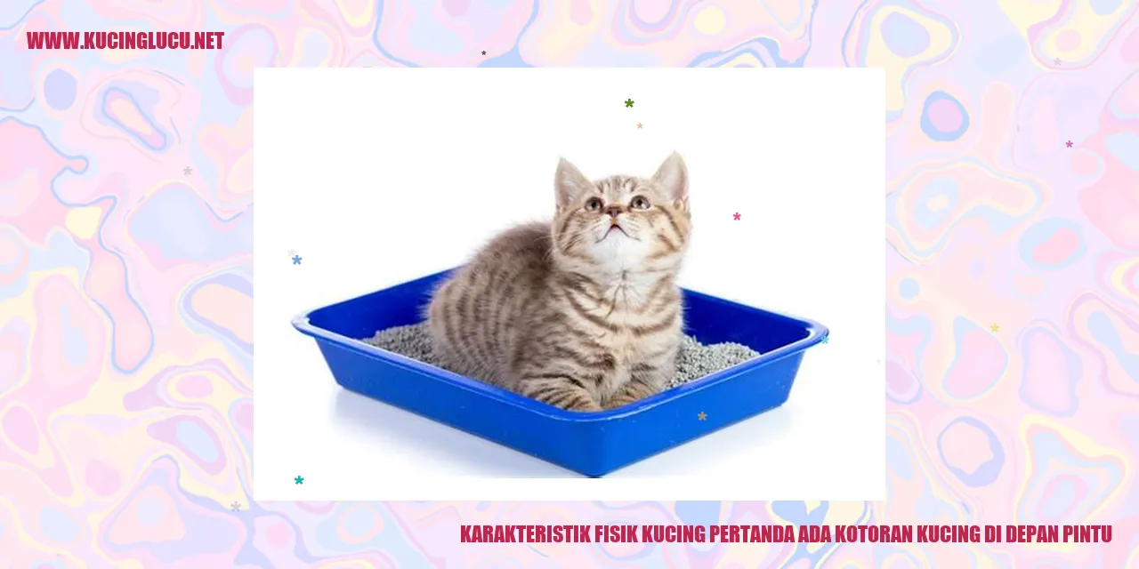 Karakteristik Fisik Kucing