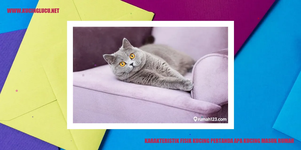 Karakteristik Fisik Kucing pertanda apa kucing masuk rumah