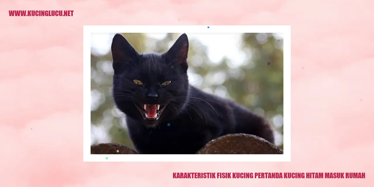Karakteristik Fisik Kucing