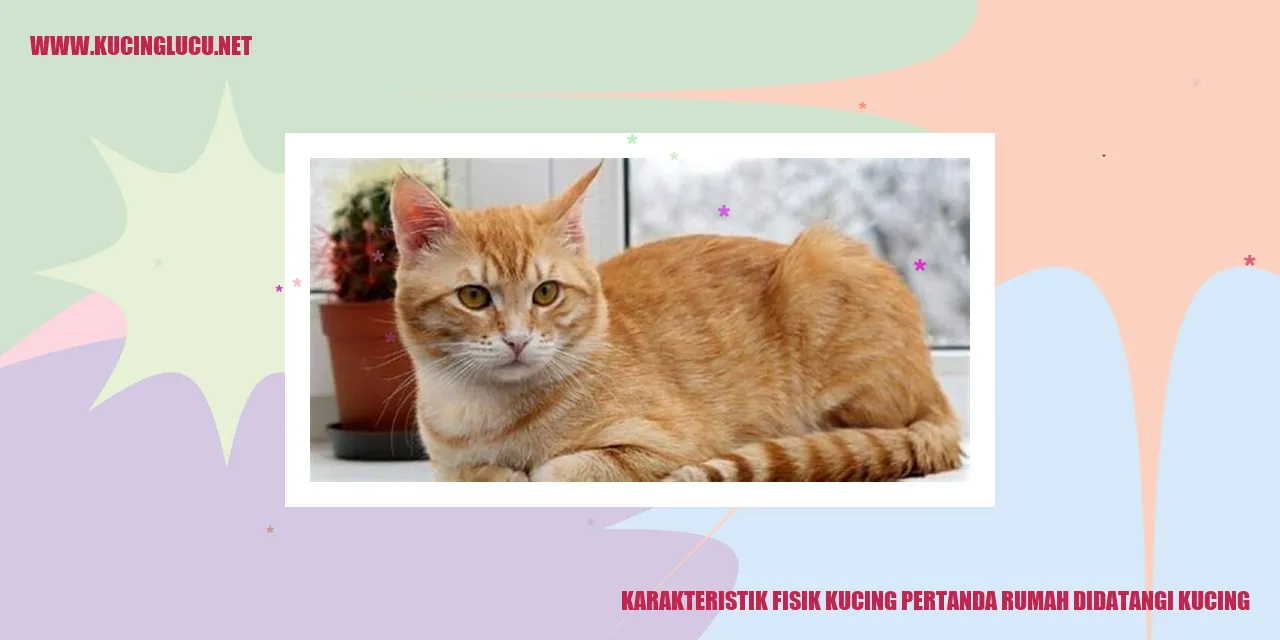 Karakteristik Fisik Kucing pertanda rumah didatangi kucing